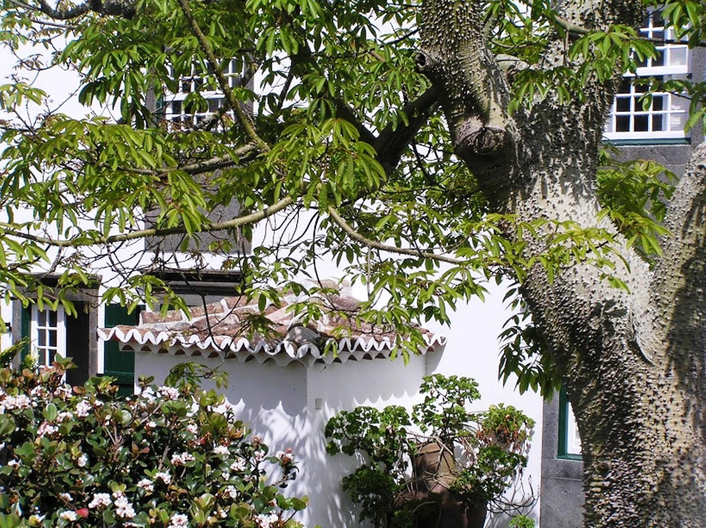 Casa Das Calhetas - Turismo De Habitacao Екстер'єр фото